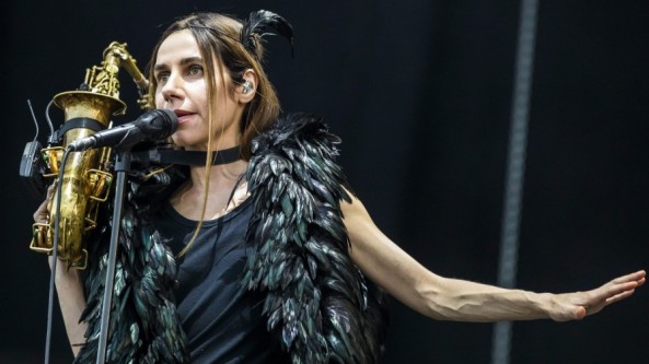 PJ HARVEY IN LOOP